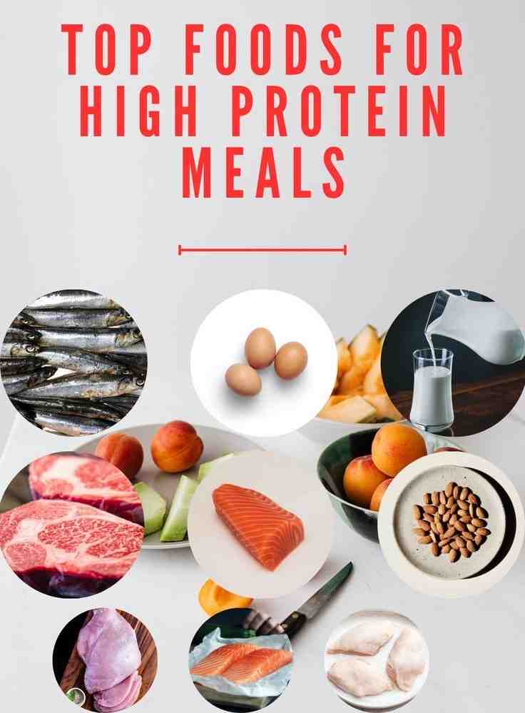 Top high protein meals food